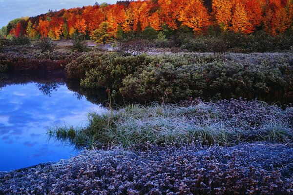 Herbstlandschaft am See