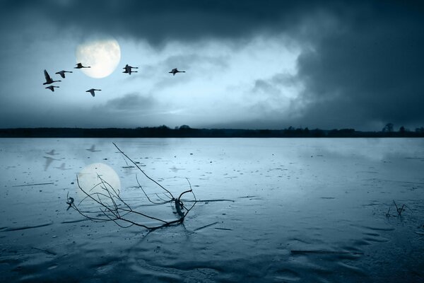 Paisagem noturna do lago com Guindastes