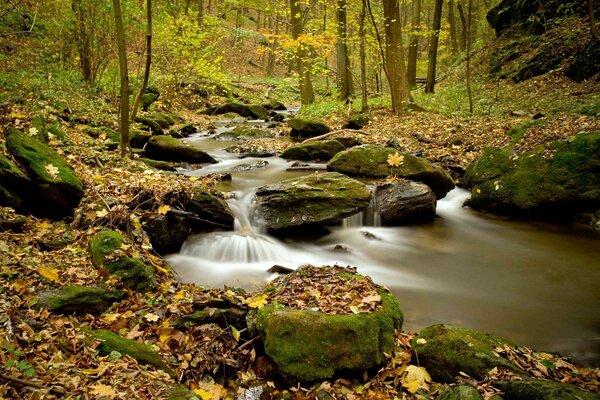 Mountain forest stream in autumn