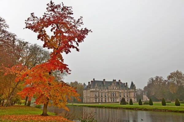 Alte Burg auf herbstlichen Hintergrund. Der See, immer noch grünes Gras, aber der Baum ist bereits in hellen Herbstfarben