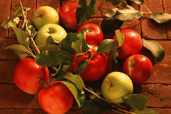 Pommes rouges et pommes vertes