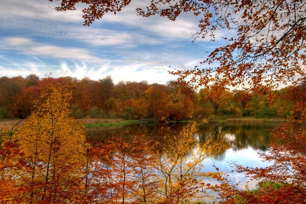 Herbstlandschaft des Sees am Nachmittag