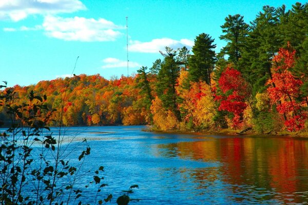 Bunte Herbstlandschaft Wald am Rande des Flusses