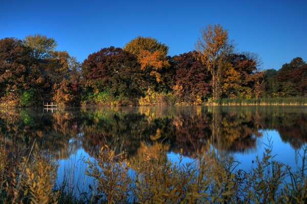 Reflexion des Herbstwaldes im See