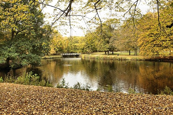 Herbst Natur helle Farben