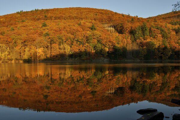 Landscape of the autumn massif of the forest of mountains in the reflection of water