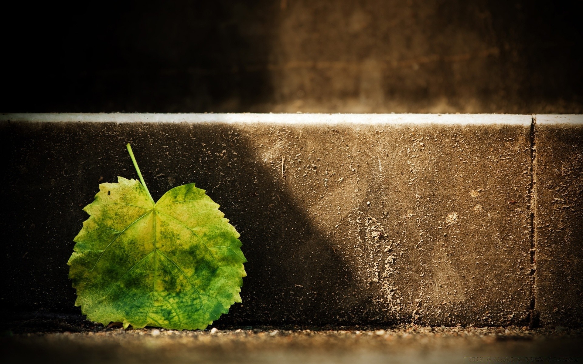 herbst desktop essen abstrakt wasser licht stillleben