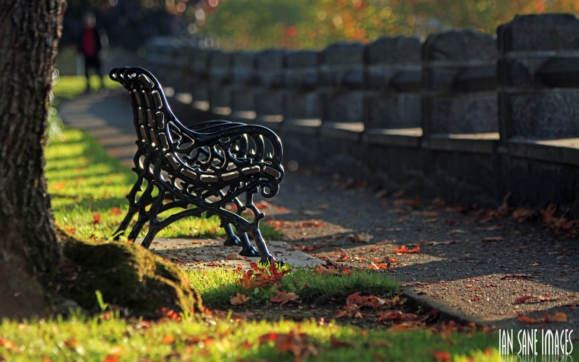 herbst im freien natur holz gras blatt herbst park bank garten alt