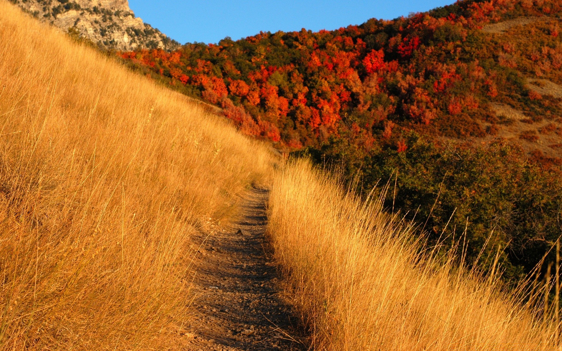 otoño paisaje al aire libre naturaleza viajes árbol otoño cielo escénico madera luz del día montañas