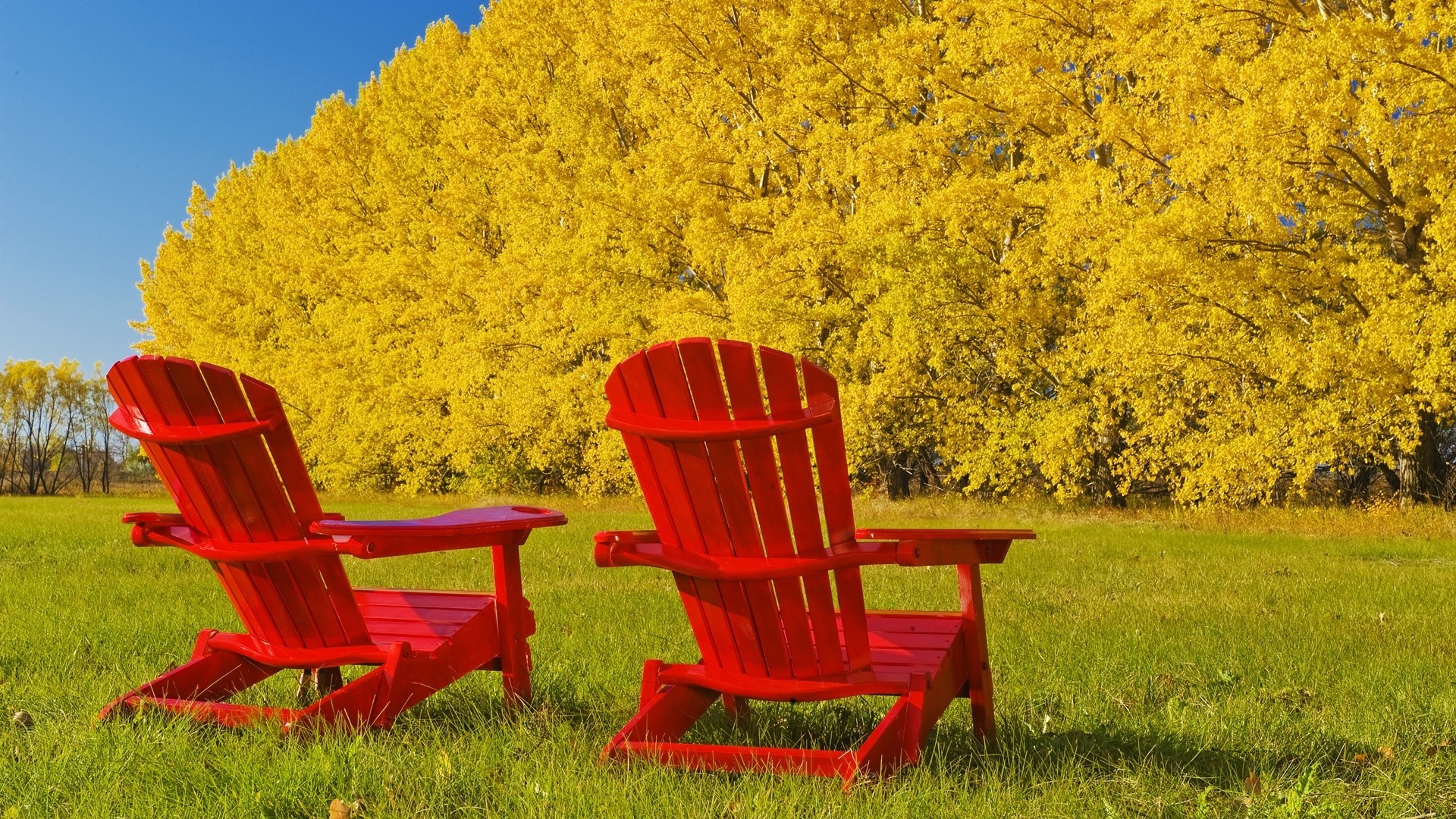 autumn nature summer seat grass bench wood chair outdoors field color fall relaxation tree empty sky hayfield outside daylight landscape