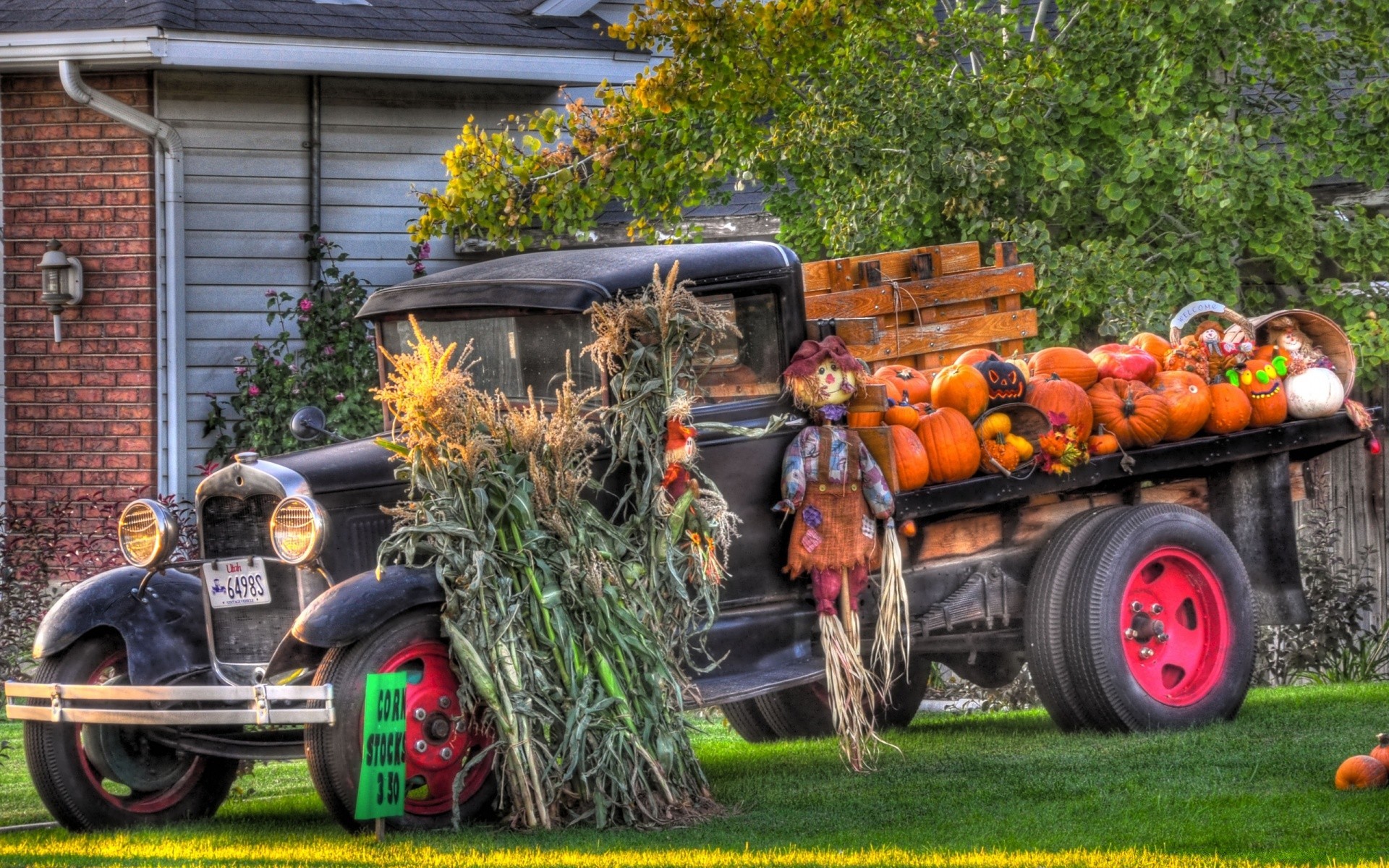 otoño agricultura granja coche ruedas tractor pasto verano jardín máquina sistema de transporte otoño