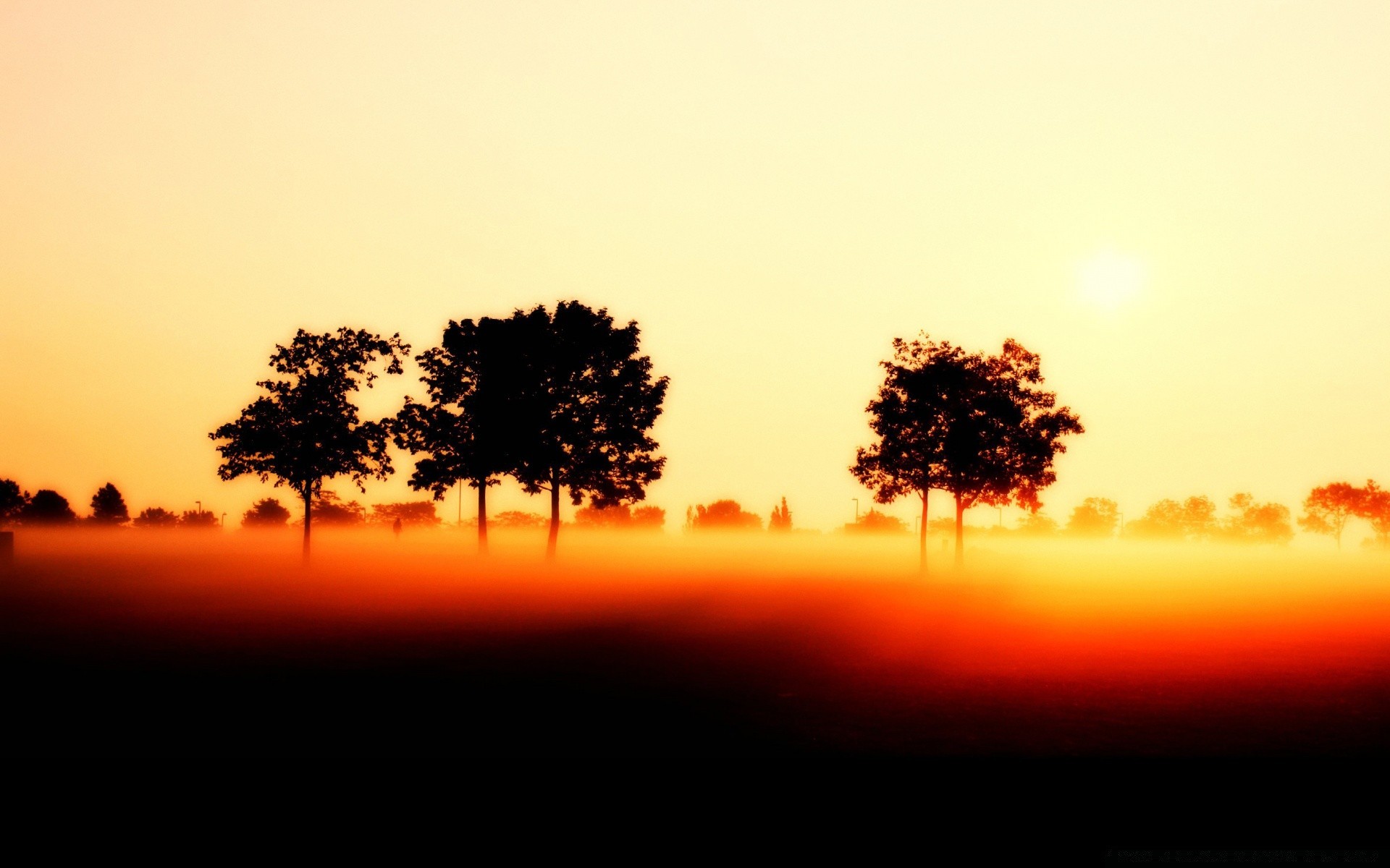 herbst sonnenuntergang dämmerung hintergrundbeleuchtung silhouette sonne baum landschaft nebel abend gutes wetter nebel natur himmel dämmerung licht