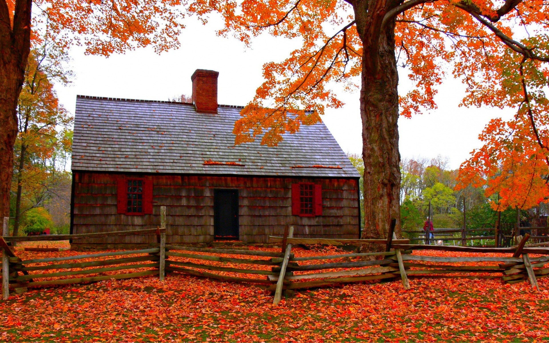 outono outono folha árvore madeira temporada casa ao ar livre maple parque natureza