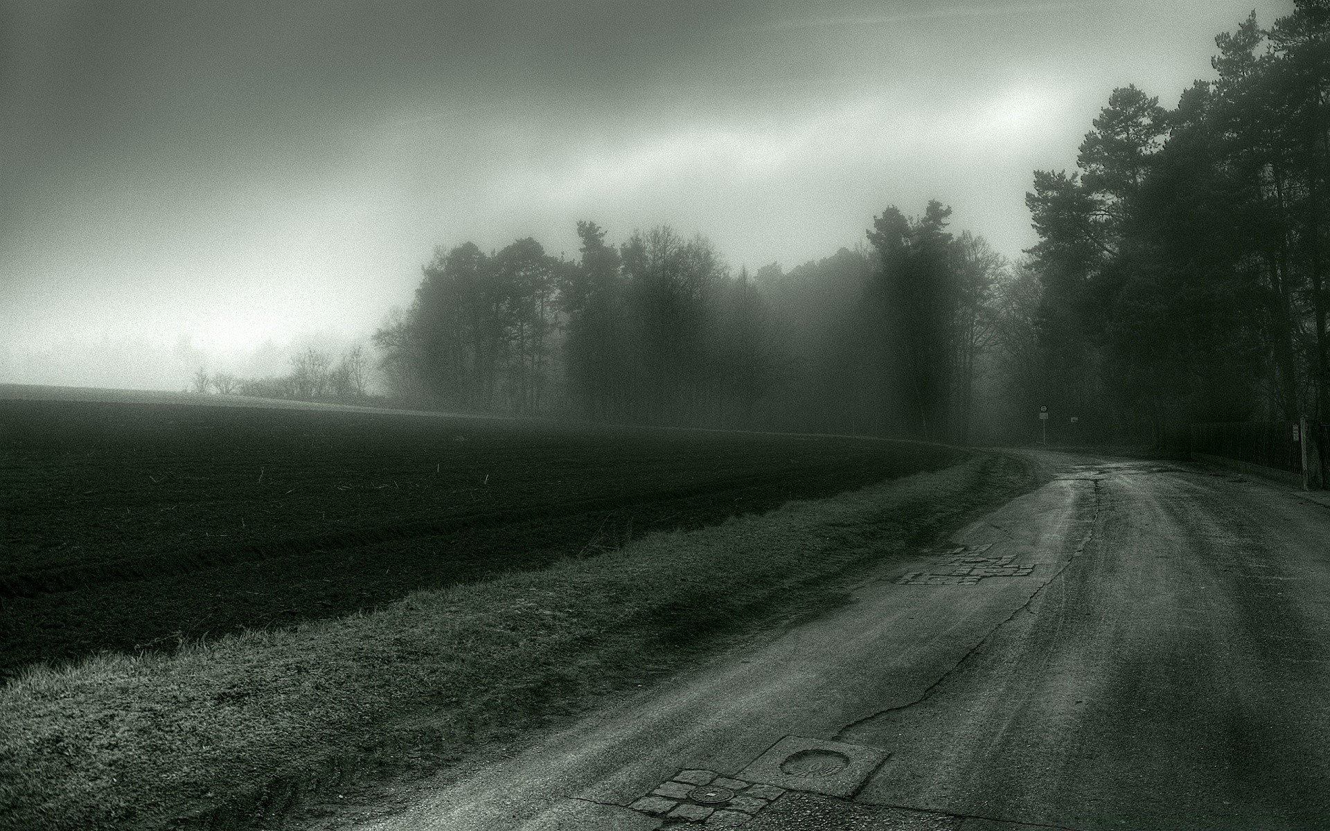 outono névoa estrada paisagem névoa amanhecer monocromático chuva luz tempestade pôr do sol árvore tempo natureza sol outono céu ao ar livre