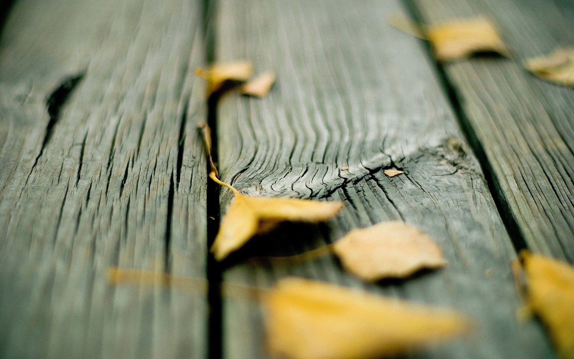 autunno legno vecchio legno struttura astratto desktop vintage primo piano dop modello