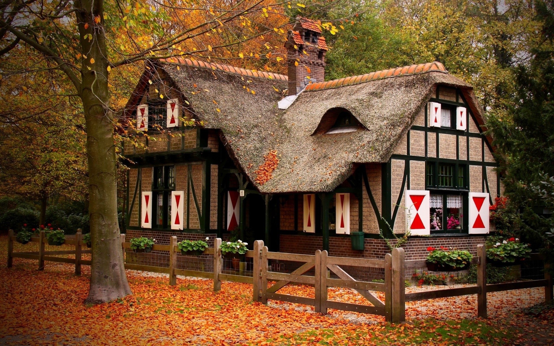 otoño casa casas bungalow madera familia arquitectura casa rústico árbol techos jardín