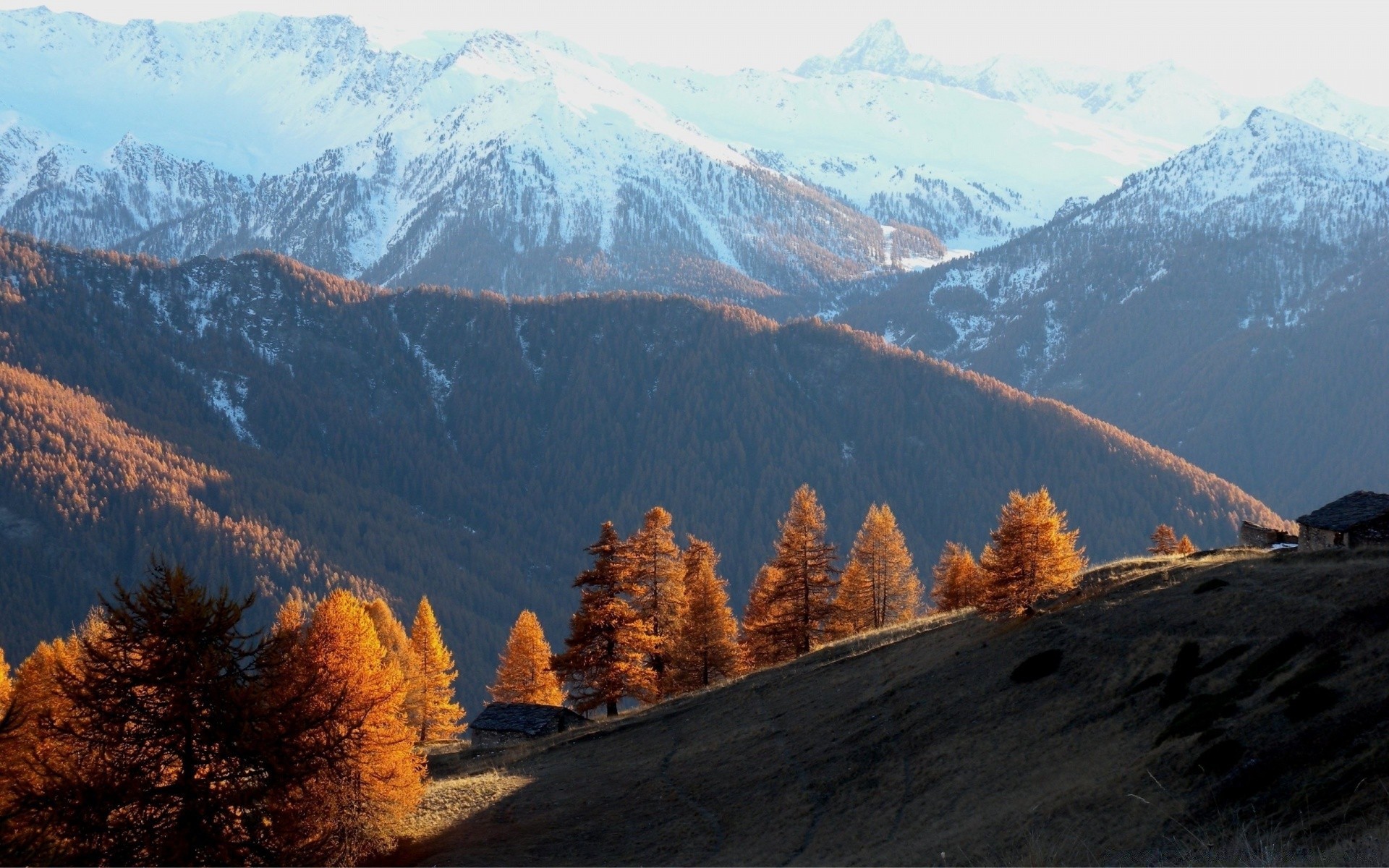 herbst berge schnee reisen landschaftlich landschaftlich im freien holz natur herbst tal himmel baum berggipfel nebel