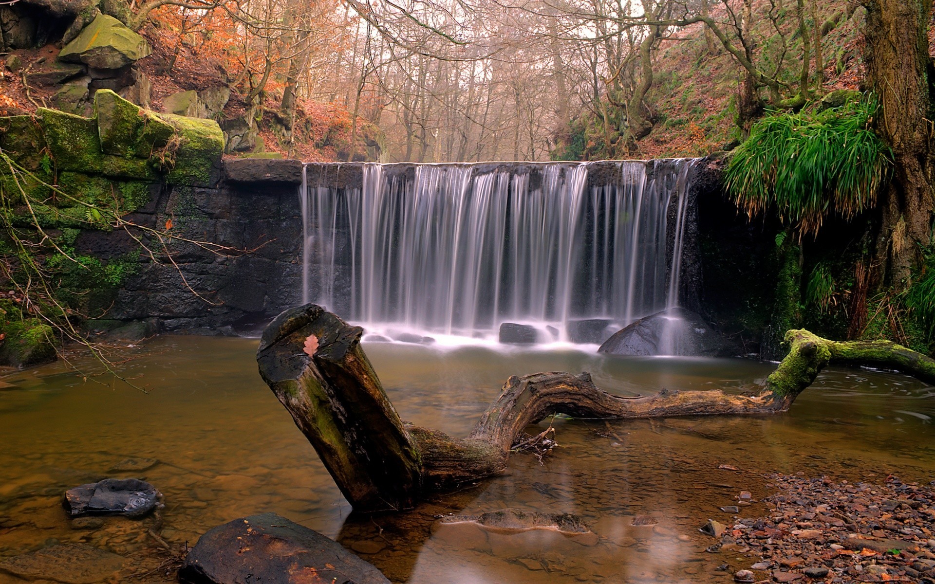 herbst wasser wasserfall fluss fluss herbst rock bewegung baum natur im freien landschaft kaskade schrei holz reisen blatt fluss umwelt park