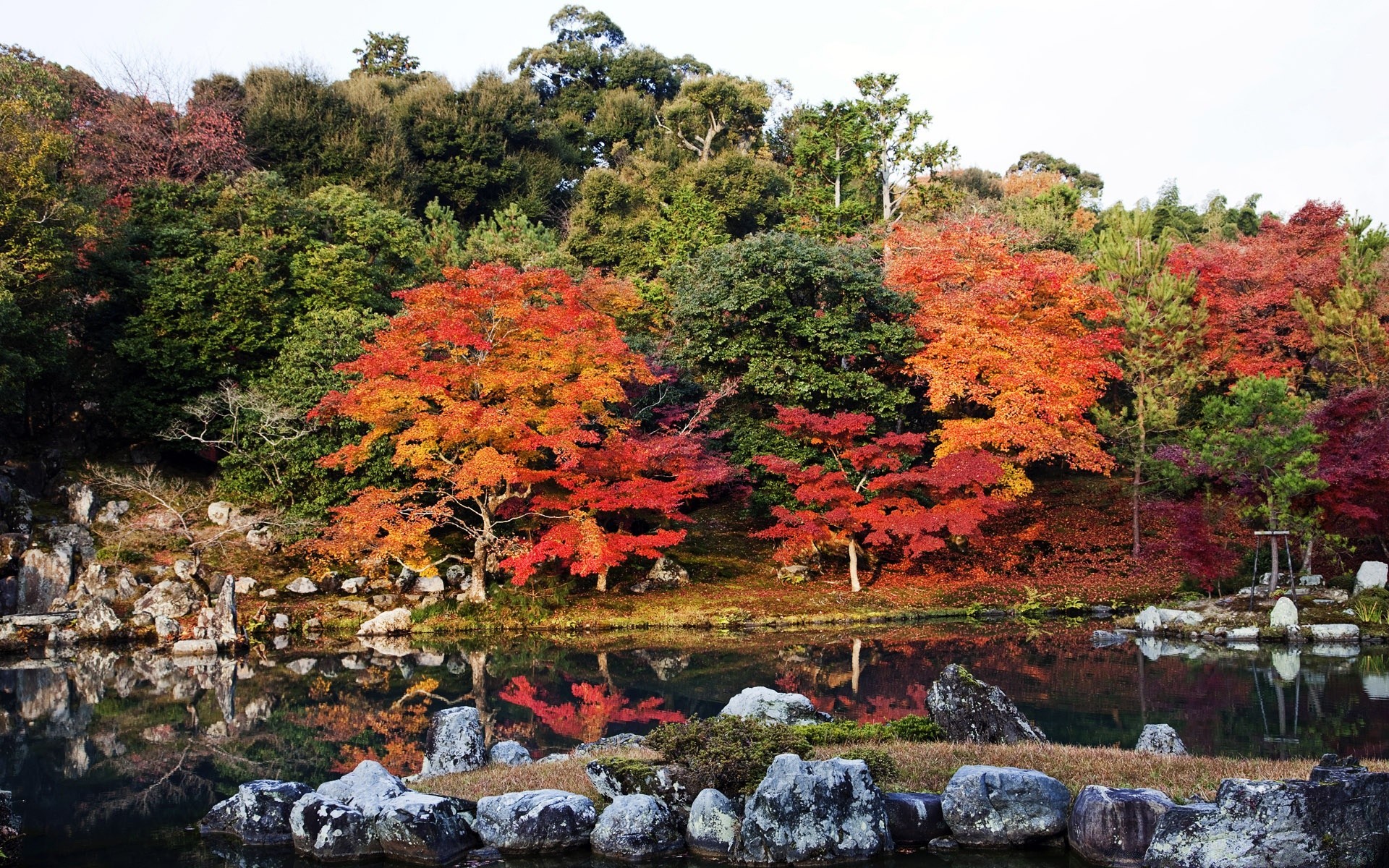 autumn fall leaf maple tree nature landscape park season scenic garden outdoors wood scenery color flora travel mountain scene stone