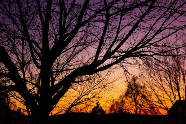 Autumn landscape on the background of sunset