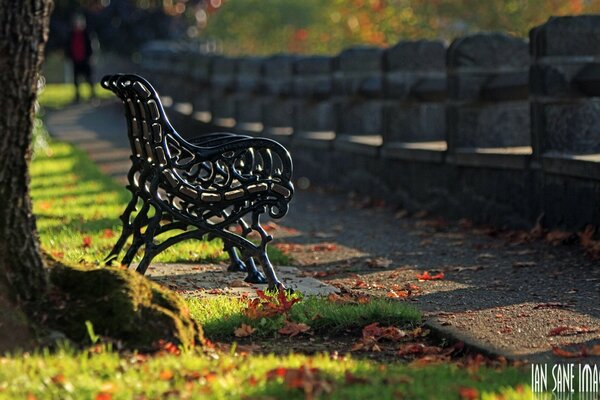 Negozio di metallo nel parco autunnale