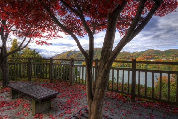 Relaxing on a bench overlooking the river