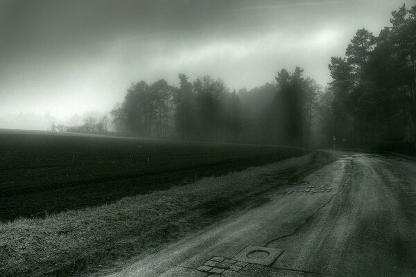 Strada di campagna nebbiosa