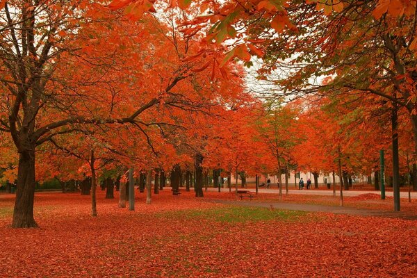 Hermoso clima de otoño