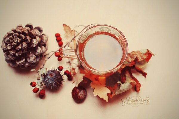 Té caliente en el clima de otoño