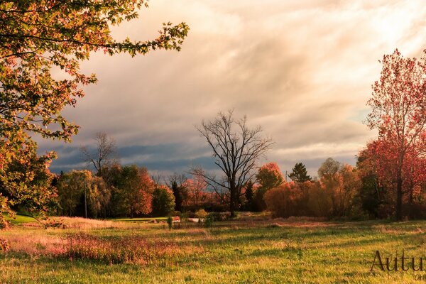 Forêt de pajal d automne rural