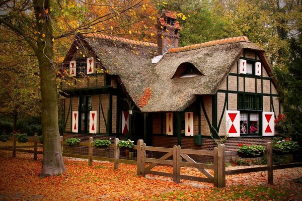 Holzhaus im Herbstwald