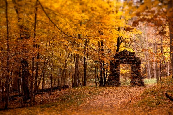 Ein Steinbogen inmitten eines Herbstwaldes