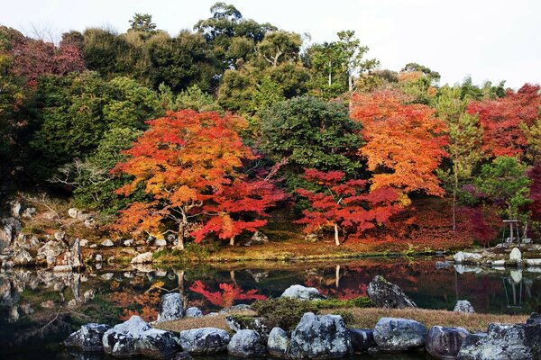 Colorful trees and a pond with stones