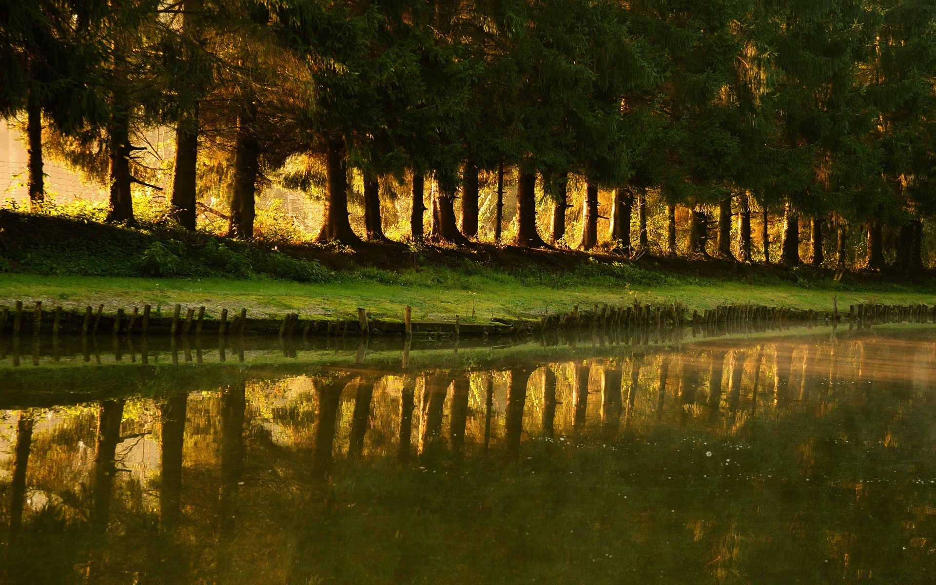 lake water tree reflection landscape river wood outdoors nature pool fall