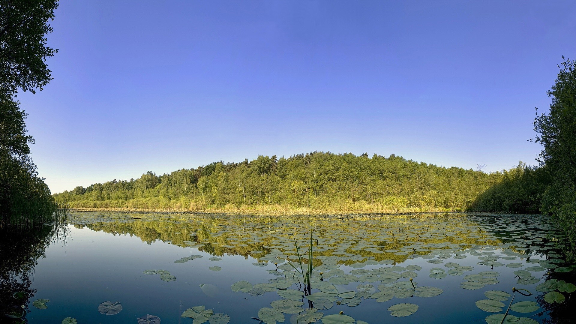 озера воды отражение дерево река пейзаж на открытом воздухе природа небо древесины живописный путешествия бассейн дневной свет лето