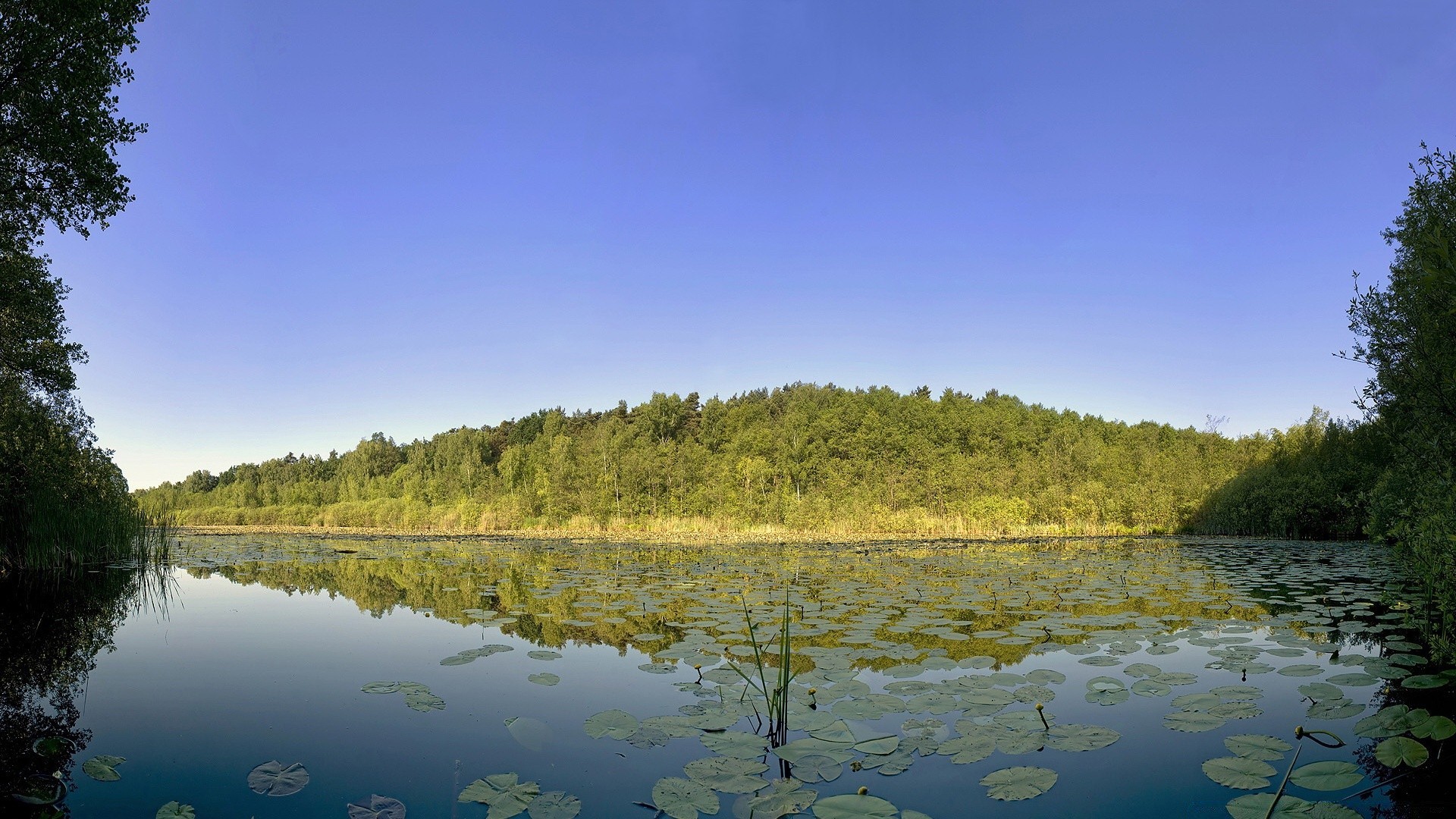 湖泊 水 倒影 树 河 景观 户外 自然 天空 木材 风景 旅游 游泳池 日光 夏天