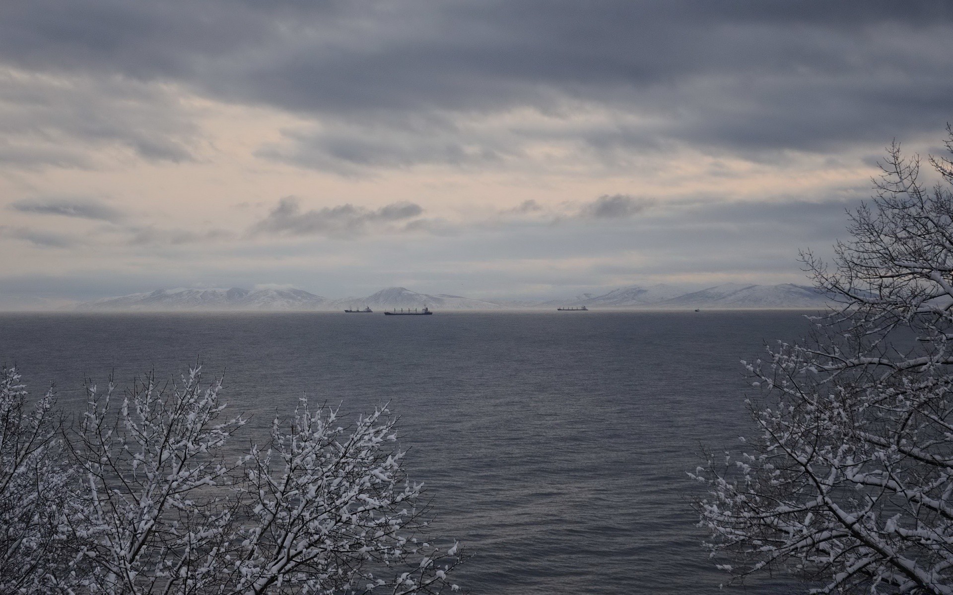 lake landscape nature winter water tree sky weather cold fog snow frost outdoors frozen dawn desktop sea season