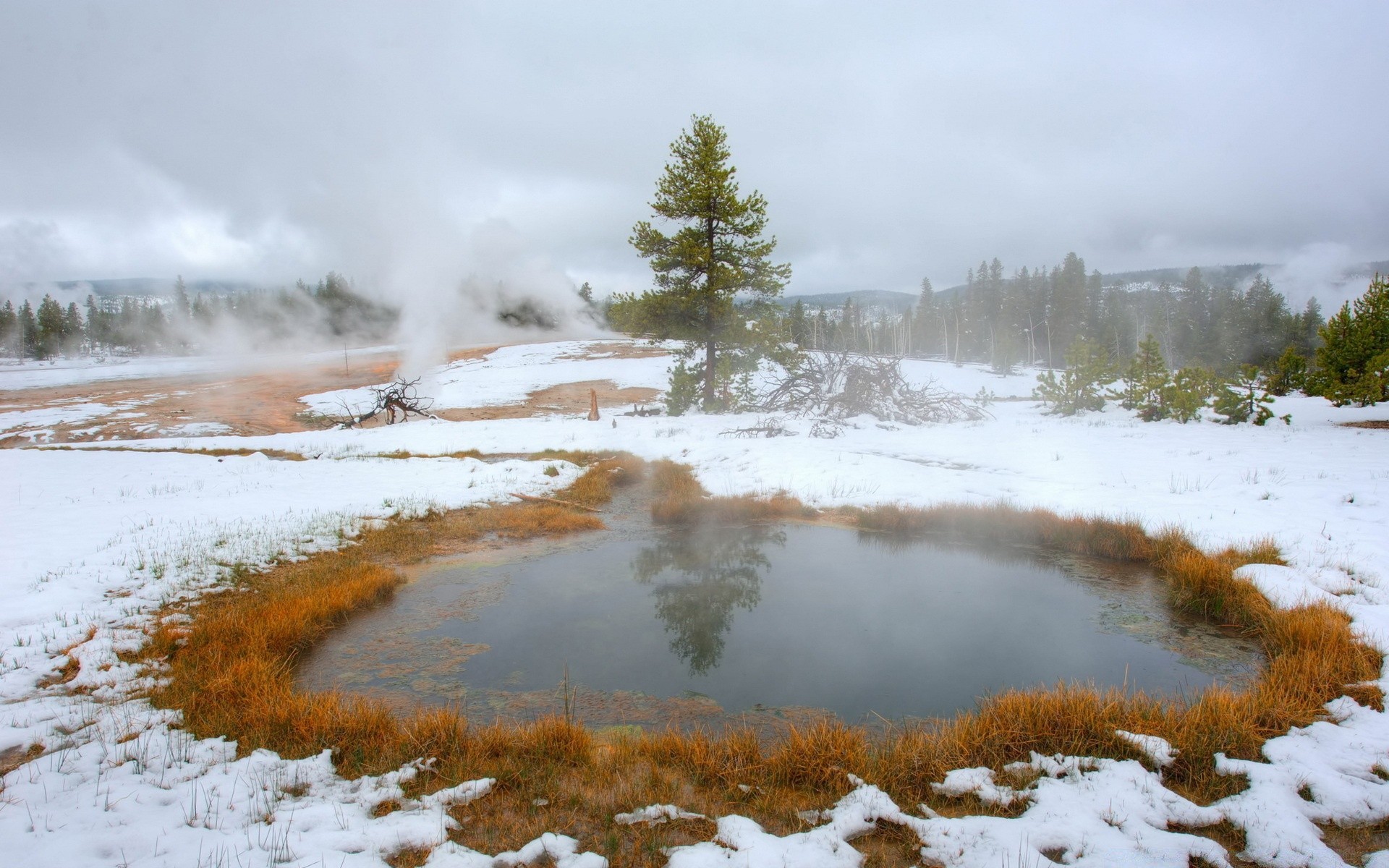 see landschaft nebel winter natur schnee geysir nebel paar heißer frühling im freien wasser holz abgekocht holz thermisch morgendämmerung wetter