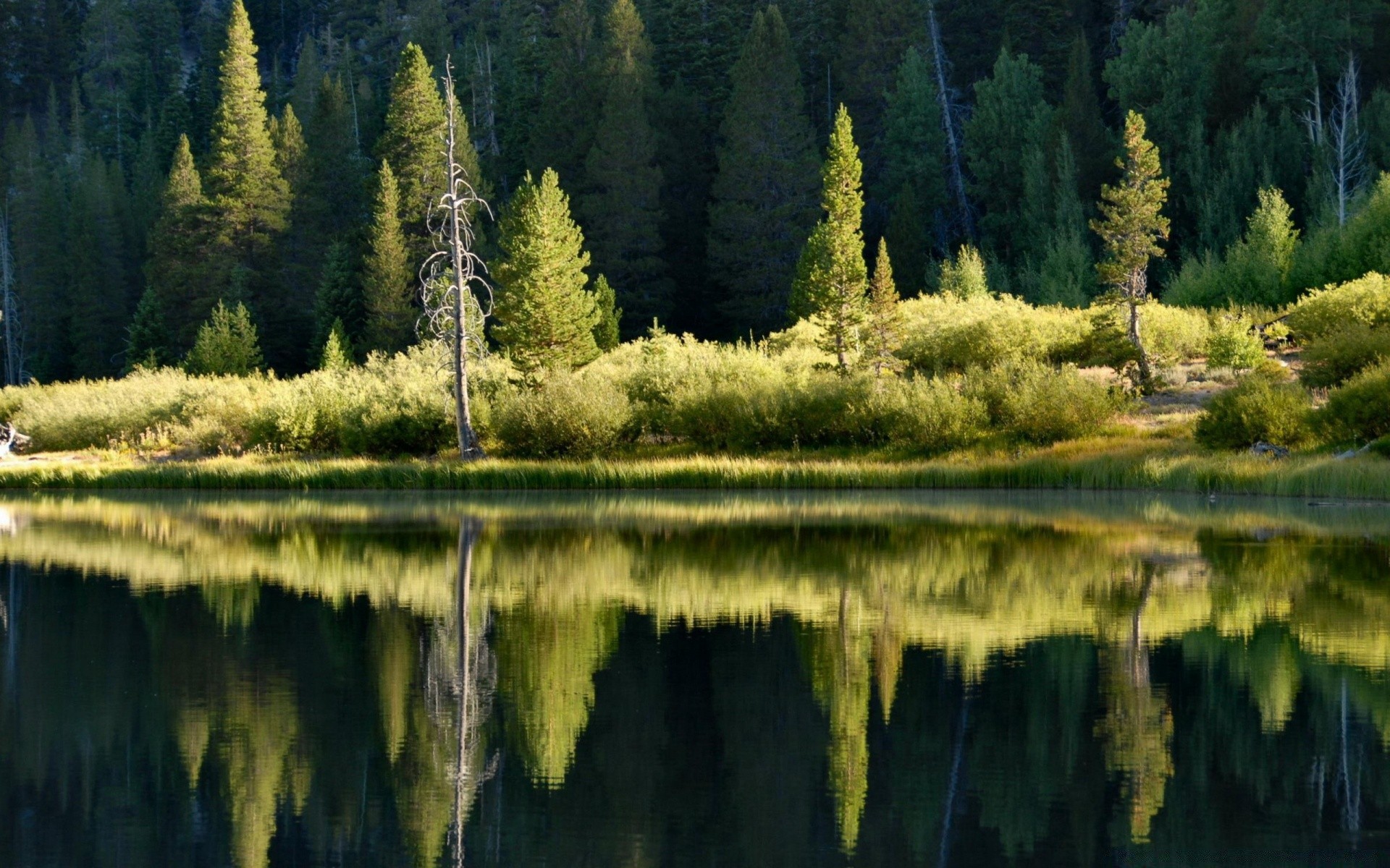 lago agua reflexión madera naturaleza al aire libre paisaje río árbol escénico piscina coníferas viajes otoño parque evergreen montañas luz del día