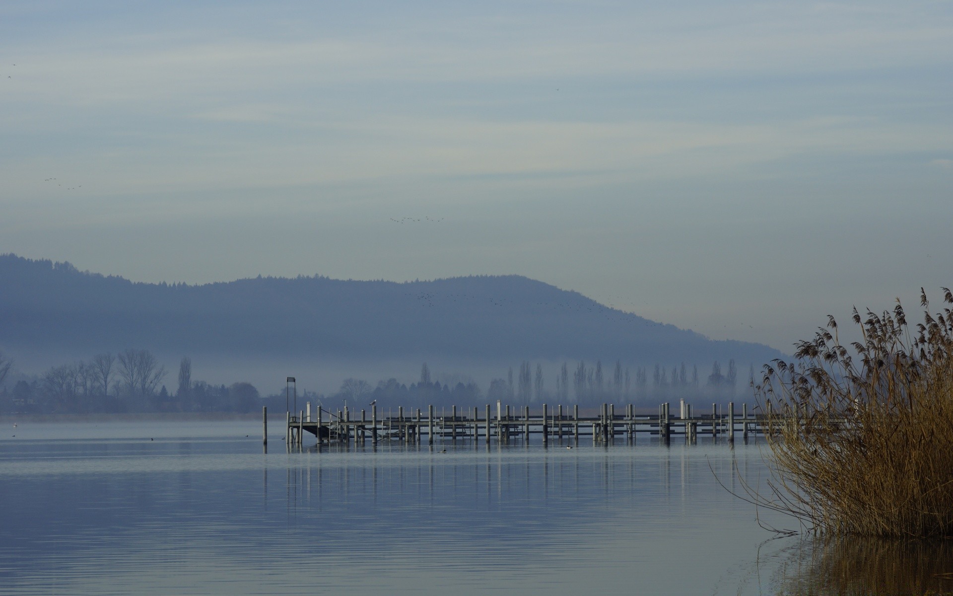 see wasser nebel nebel dämmerung winter landschaft reflexion schnee fluss sonnenuntergang baum himmel im freien natur tageslicht reisen