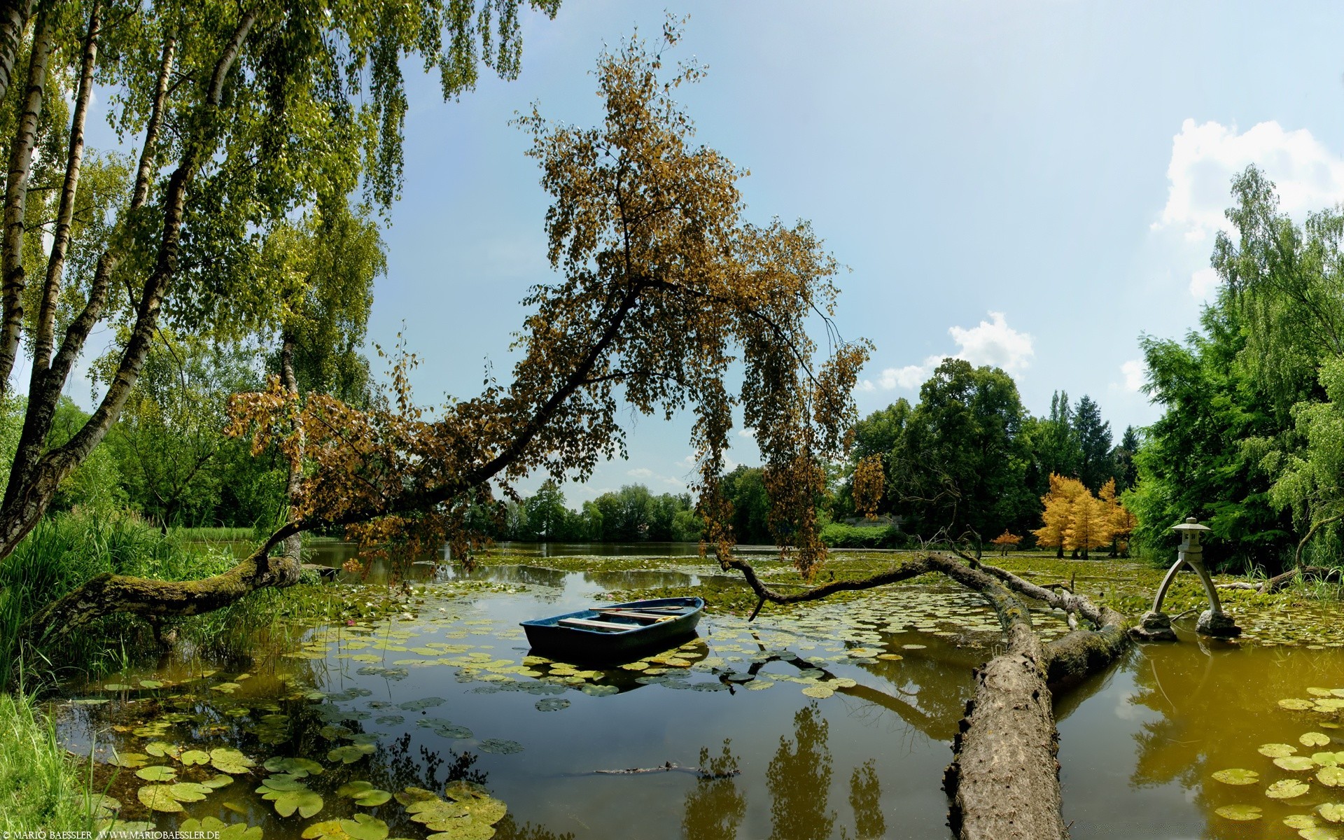 lake water tree nature reflection river pool landscape wood park outdoors summer leaf scenic flora season sky composure grass