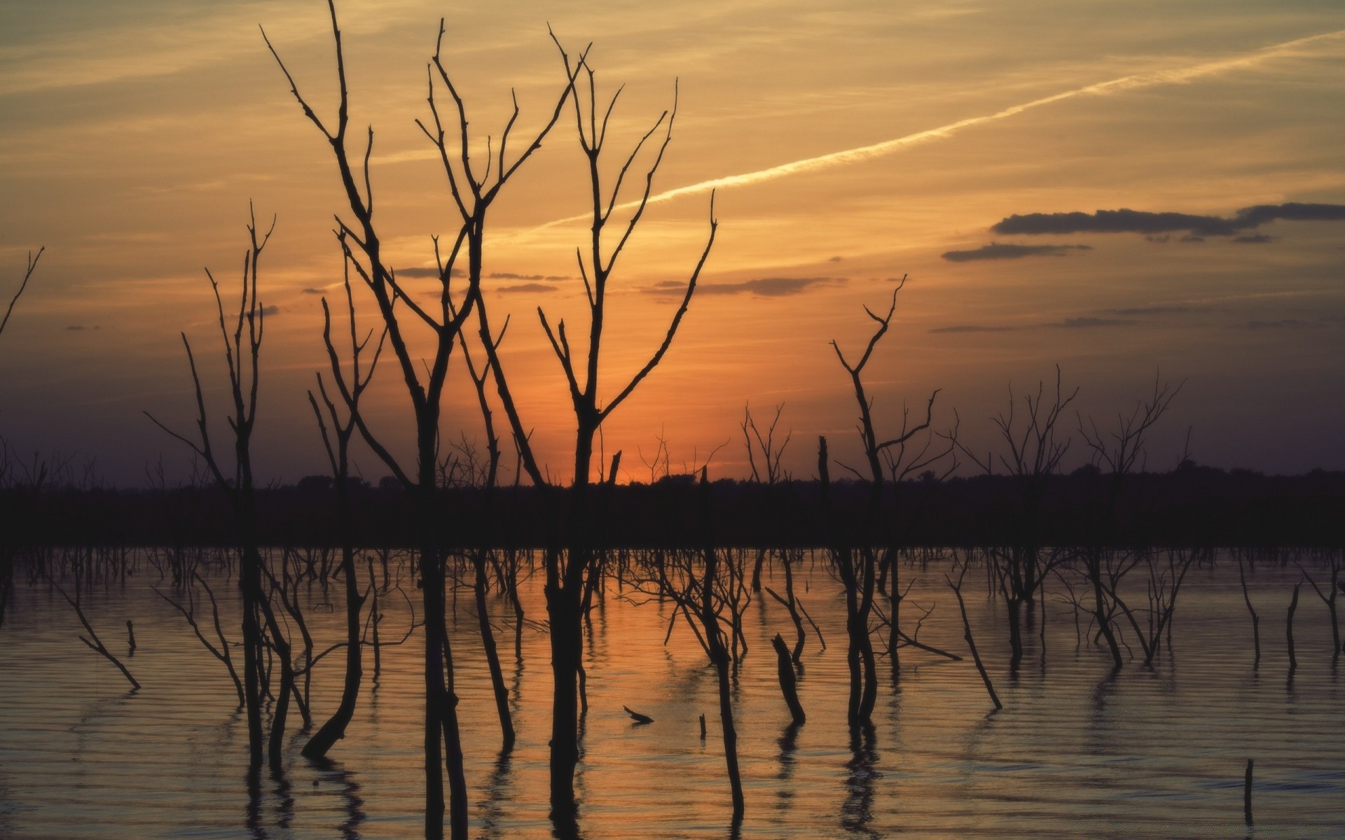 lake sunset water dawn evening dusk nature reflection landscape sky sun backlit silhouette weather outdoors tree summer marsh