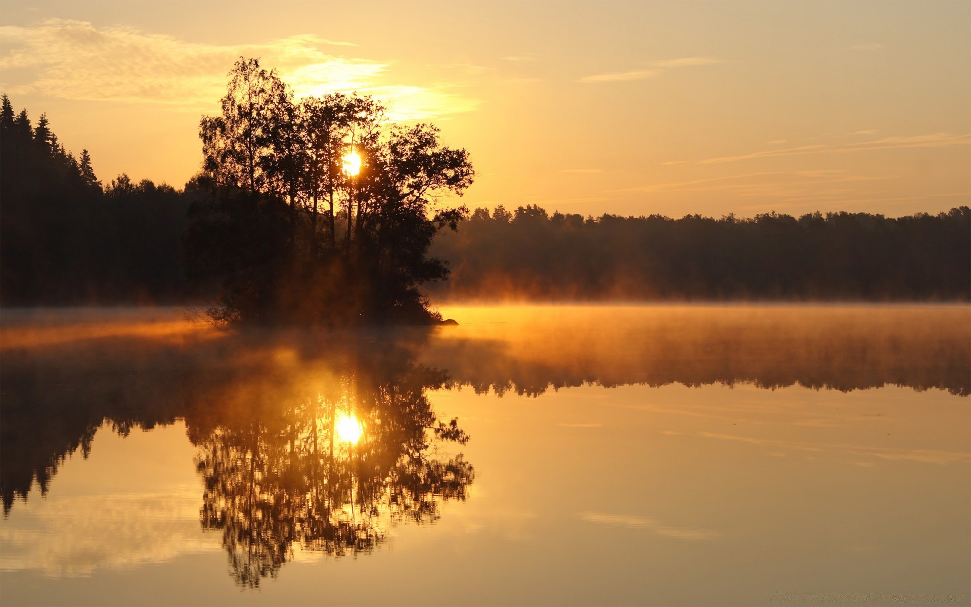 lake dawn sunset landscape water fog evening sun reflection mist tree weather nature