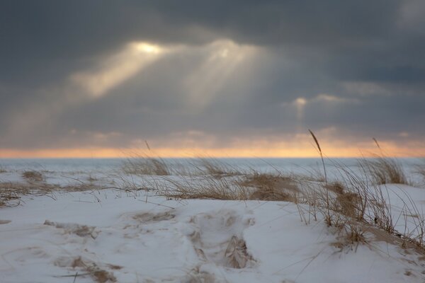 Belle nature en hiver