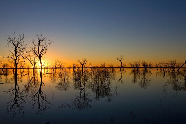 Nackte Bäume und ein See bei Sonnenuntergang