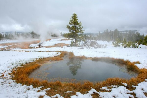 Landscape of winter nature and fog over the water