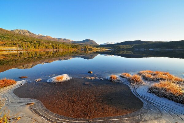 O lago e sua vida ecológica. Paisagem Grande Angular