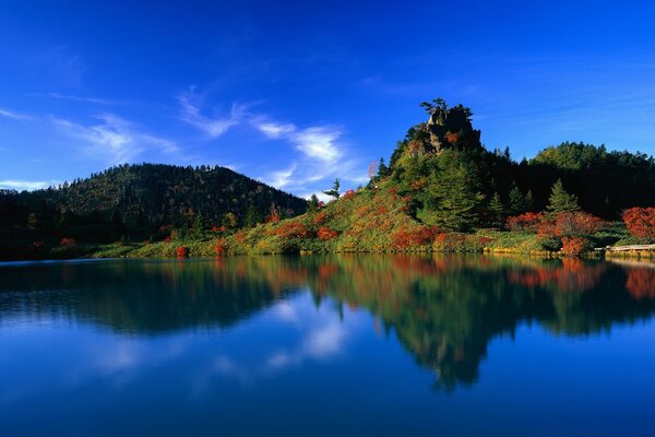 Lush landscape: sky, water and greenery