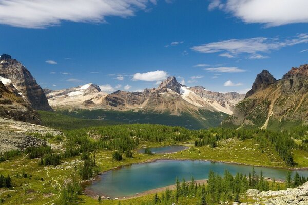 Lake in the mountains around greenery