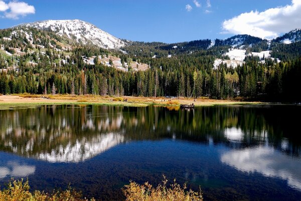 Blue lake. Lots of trees